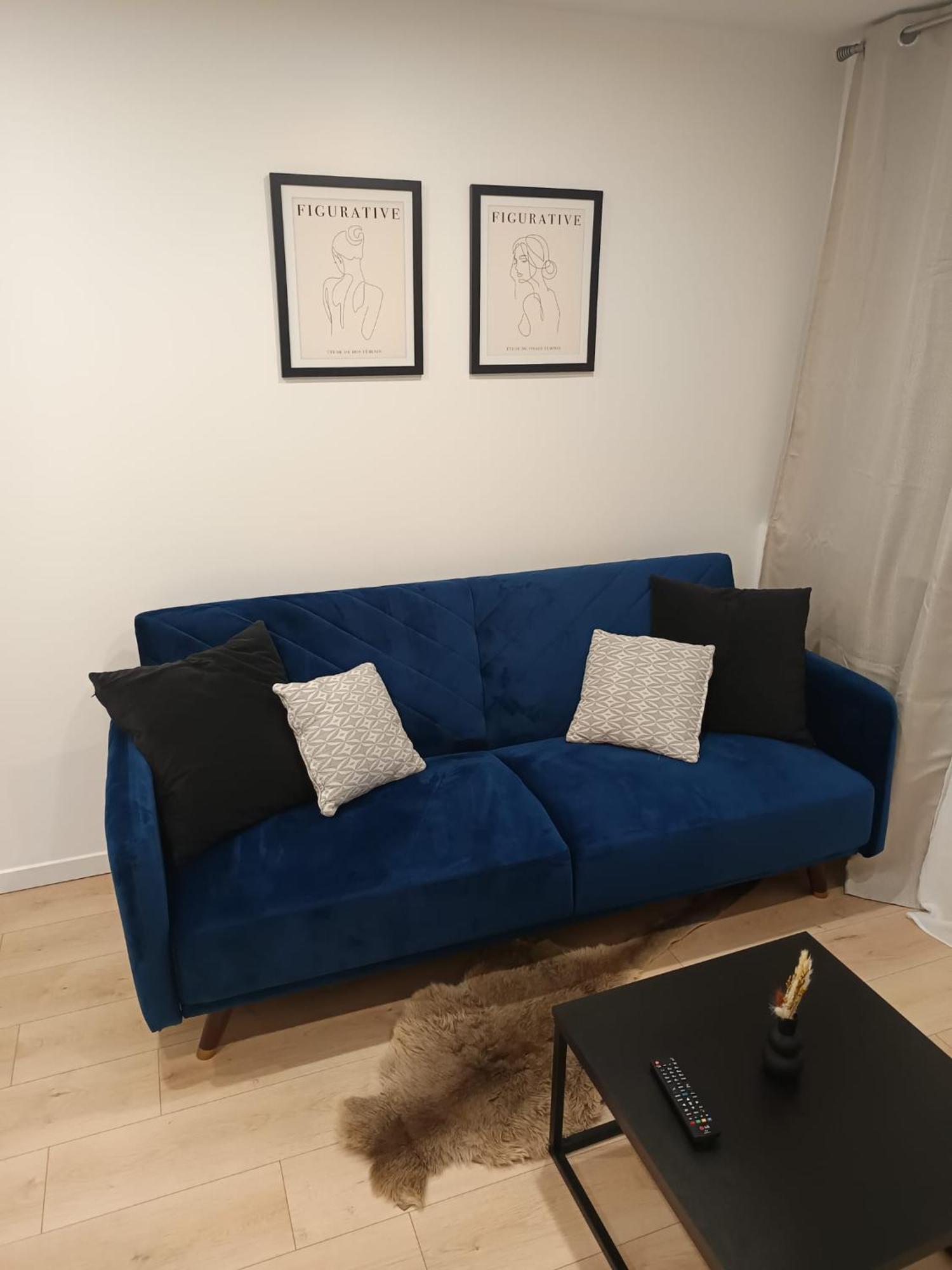 Superbe Appartement ! Saint-Etienne  Exterior foto